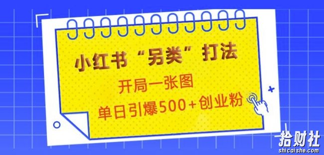 小红书“另类”打法,开局一张图,单日引爆500+精准创业粉【揭秘】