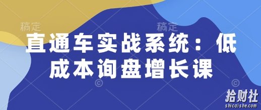 直通车实战系统:低成本询盘增长课,让个人通过技能实现升职加薪,让企业低成本获客,订单源源不断
