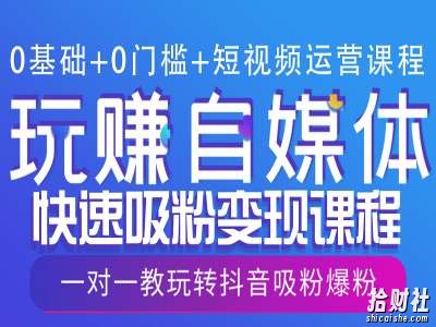 0基础+0门槛+短视频运营课程，玩赚自媒体快速吸粉变现课程，一对一教玩转抖音吸粉爆粉