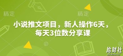 小说推文项目，新人操作6天，每天3位数分享课