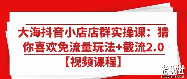 大海抖音小店店群实操课：猜你喜欢免流量玩法+截流2.0【视频课程】