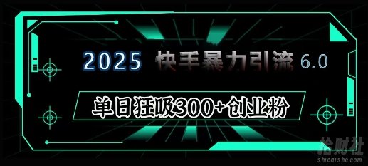 2025年快手6.0保姆级教程震撼来袭，单日狂吸300+精准创业粉