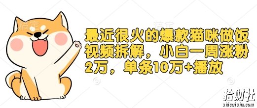 最近很火的爆款猫咪做饭视频拆解，小白一周涨粉2万，单条10万+播放(附保姆级教程)