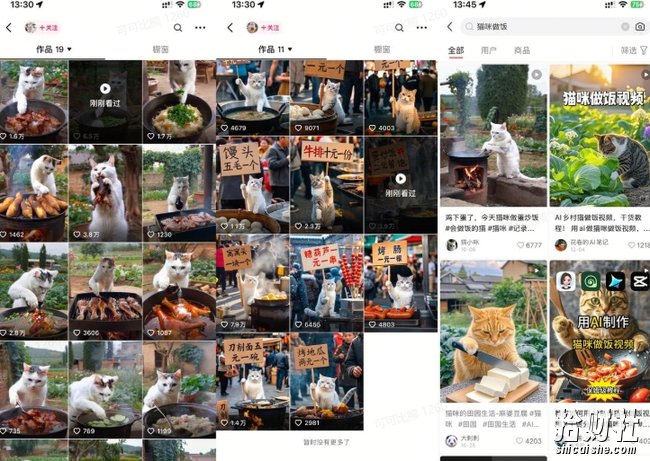 最近很火的爆款猫咪做饭视频拆解，小白一周涨粉2万，单条10万+播放(附保姆级教程)