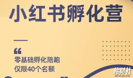 勇哥小红书撸金快速起量项目:教你如何快速起号获得曝光,做到月躺赚在3000+
