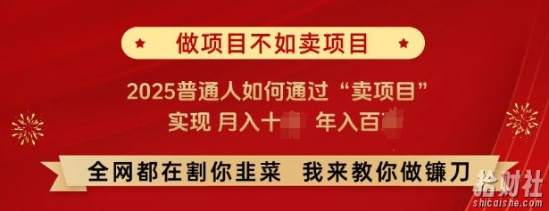 必看，做项目不如卖项目，2025普通人如何通过“卖项目”实现月入十个，年入百个
