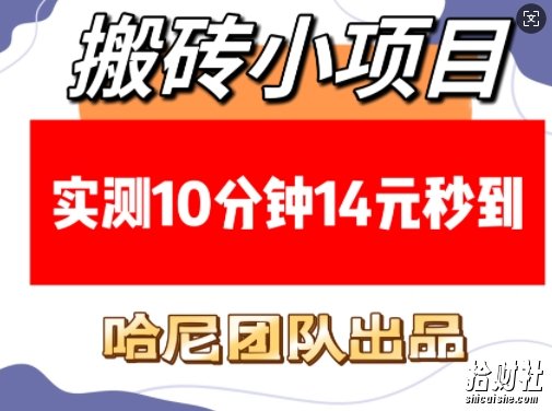 搬砖小项目，实测10分钟14元秒到，每天稳定几张(赠送必看稳定)