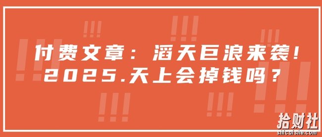 付费文章:滔天巨浪来袭!2025天上会掉钱吗?