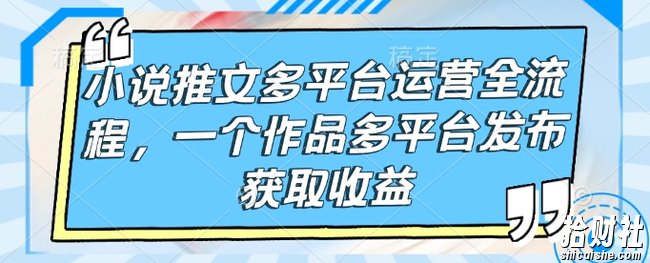 小说推文多平台运营全流程，一个作品多平台发布获取收益