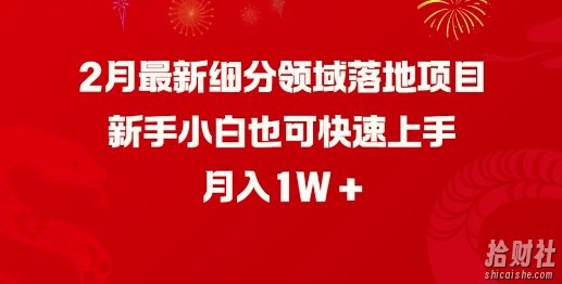2月最新细分领域落地项目,新手小白也可快速上手,月入1W