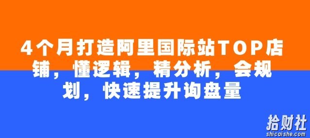 4个月打造阿里国际站TOP店铺,懂逻辑,精分析,会规划,快速提升询盘量
