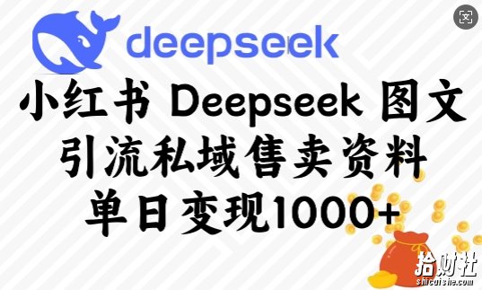 小红书Deepseek图文引流私域售卖资料,单日变现多张