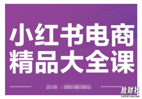 小红书电商精品大全课,快速掌握小红书运营技巧,实现精准引流与爆单目标,轻松玩转小红书电商(更新2月)