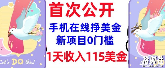在线挣美金新项目,0门槛,1天收入115美刀,无脑操作,真正被动收入