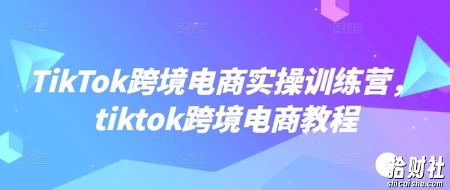 TikTok跨境电商实操训练营,tiktok跨境电商教程