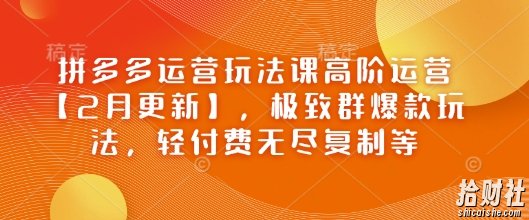 拼多多运营玩法课高阶运营【2月更新】,极致群爆款玩法,轻付费无尽复制等