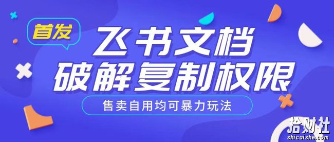 首发飞书文档破解复制权限，售卖自用均可暴力玩法