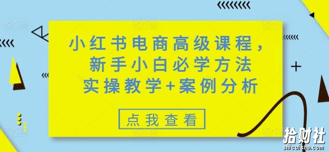 小红书电商高级课程，新手小白必学方法，实操教学+案例分析