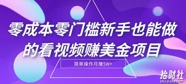 零成本零门槛新手也能做的看视频赚美金项目，轻松月赚5W+【视频教程】