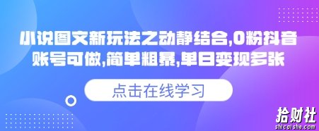 小说推文图文新玩法之动静结合，0粉抖音账号可做，简单粗暴，单日变现多张