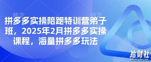 拼多多实操陪跑特训营弟子班，2025年2月拼多多实操课程，海量拼多多玩法