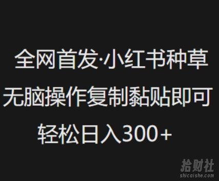 全网首发，小红书种草无脑操作，复制黏贴即可，轻松日入3张