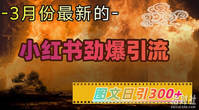 小红书超劲爆引流手段，图文日引300+轻松变现1W