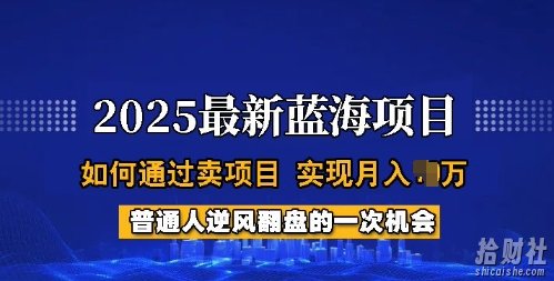 2025蓝海项目,普通人如何通过卖项目,实现月入过W,全过程【揭秘】