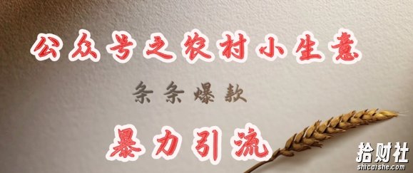 deepseek写农村小项目，条条爆款，暴力引流