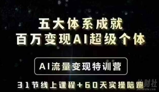 五大体系成就百万变现AI超级个体- AI流量变现特训营,一步一步教你一个人怎么年入百W