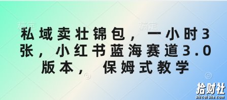 私域卖壮锦包,一小时3张,小红书蓝海赛道3.0版本, 保姆式教学