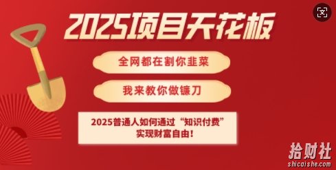 2025项目天花板普通人如何通过知识付费，实现财F自由【揭秘】