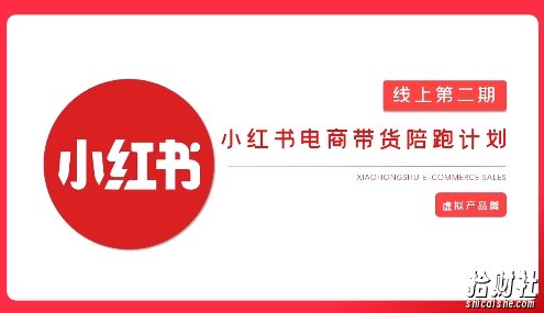 2025小红书虚拟电商实战课,从0到1打造无货源店铺,AI+爆款笔记轻松变现