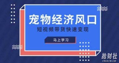 宠物赛道快速变现精品课,宠物经济风口,短视频带货快速变现