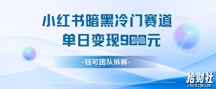 小红书冷门”暗黑”赛道，单日收益多张
