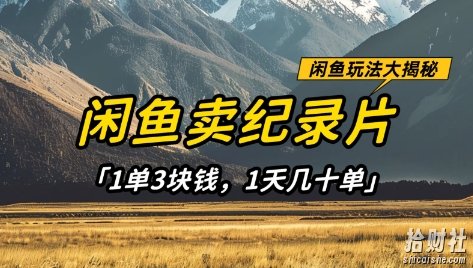 闲鱼卖纪录片1单3块钱,1天几十单,项目稳定有潜力