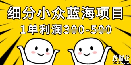 细分小众蓝海项目,一单利润3张,每月收入稳定过1w+