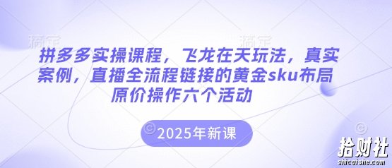 拼多多实操课程,飞龙在天玩法,真实案例,直播全流程链接的黄金sku布局原价操作六个活动
