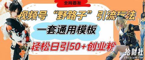 视频号“野路子”玩法,评论区疯狂截流,一套模板单日单号引流50+创业粉