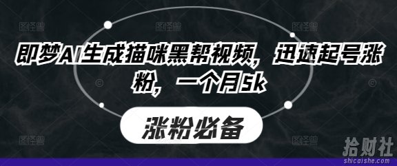 即梦AI生成猫咪黑帮视频,迅速起号涨粉,一个月5k