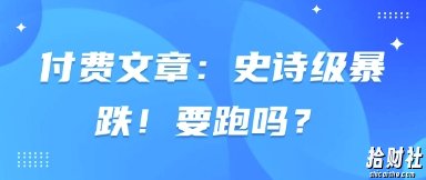 付费文章：史诗级暴跌！要跑吗？