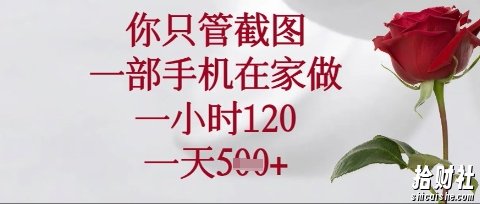 你只管截图，一部手机在家操作，一小时120.一天5张【揭秘】