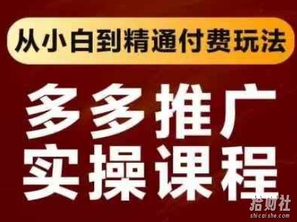 拼多多推广实操课程,从小白到精通付费玩法