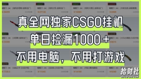 真全网独家CSGO挂G，单日捡漏1k+【揭秘】