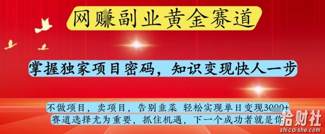 网创副业黄全赛道,掌握独家项目密码,知识变现快人一步,告别韭菜轻松实现单日变现1k+【揭秘】
