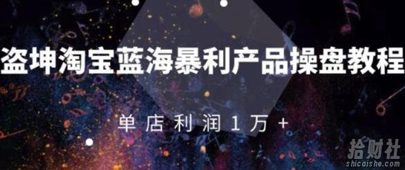 淘宝蓝海暴利产品操盘教程:从零到单店利润10000+详细实操(付费文章)