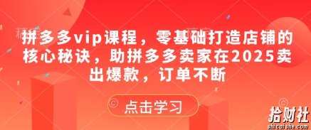 拼多多vip课程，零基础打造店铺的核心秘诀，助拼多多卖家在2025卖出爆款，订单不断