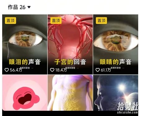 抖音坚果3D动画科普项目，撸视频号分成和抖音伙伴计划，适合零基础小白