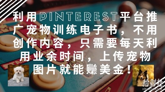 利用Pinterest平台推广宠物训练电子书,不用创作内容,只需要每天利用业余时间,上传宠物图片就能挣美金!