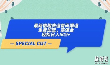 【轻云】最新情趣赛道首码渠道,免费加盟,高佣金,轻松日入5张+